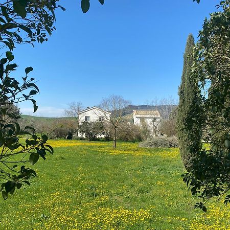 Agriturismo Colle Igino Ματέρα Εξωτερικό φωτογραφία