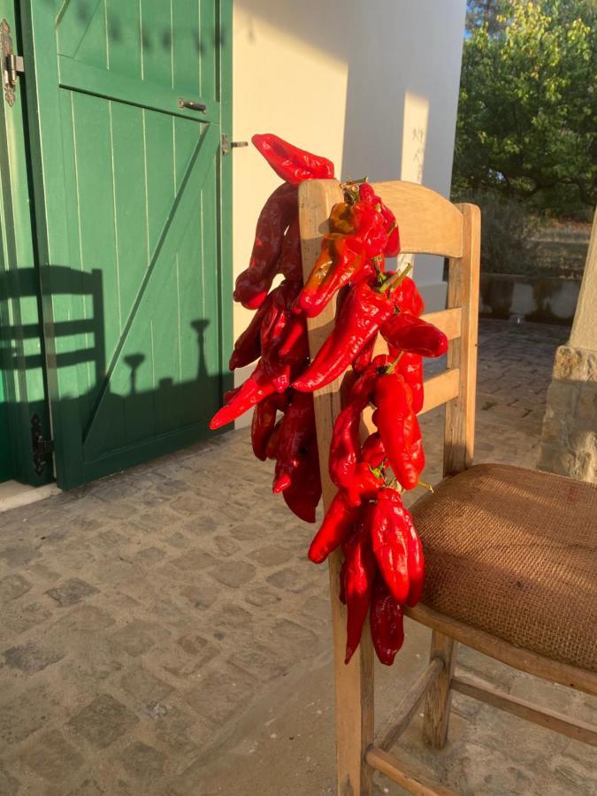 Agriturismo Colle Igino Ματέρα Εξωτερικό φωτογραφία