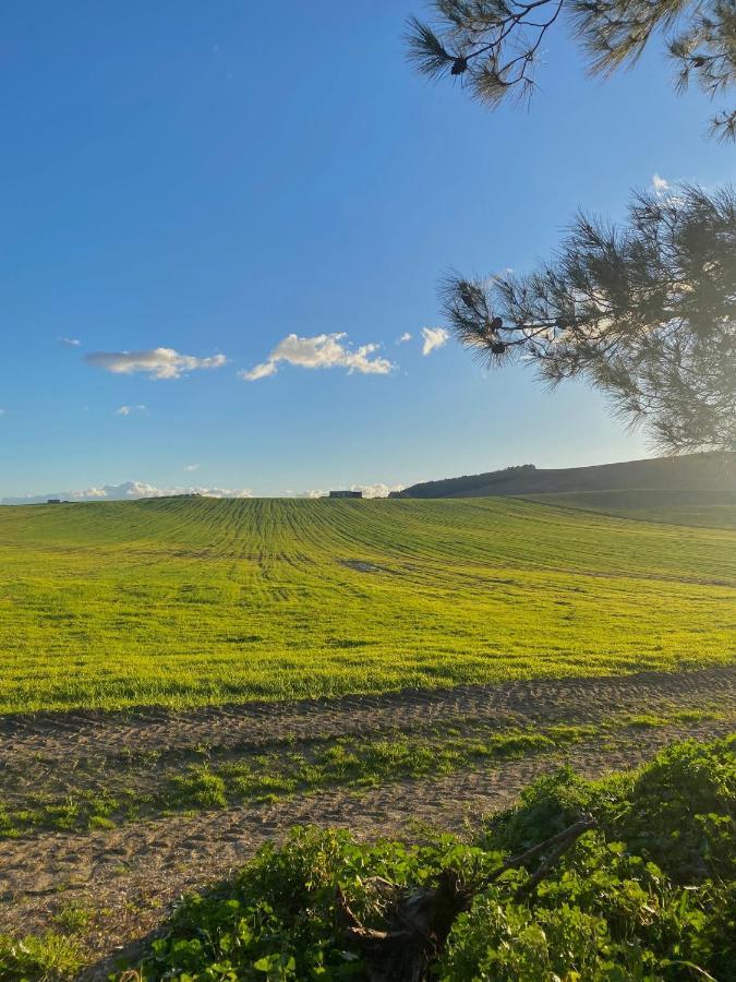 Agriturismo Colle Igino Ματέρα Εξωτερικό φωτογραφία