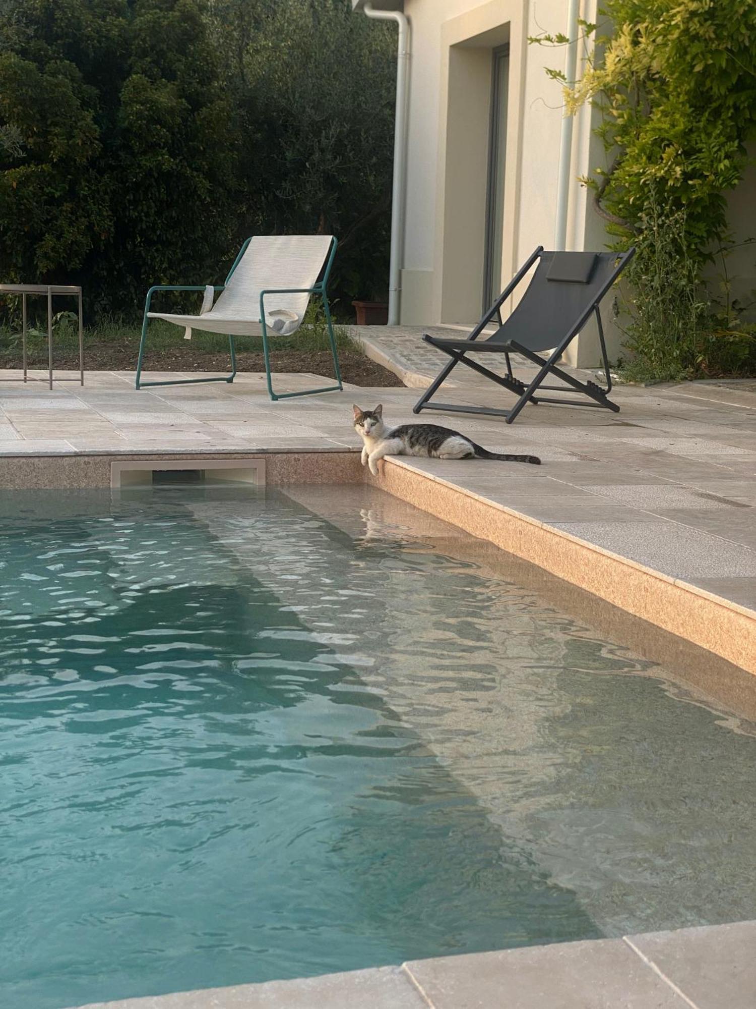 Agriturismo Colle Igino Ματέρα Εξωτερικό φωτογραφία