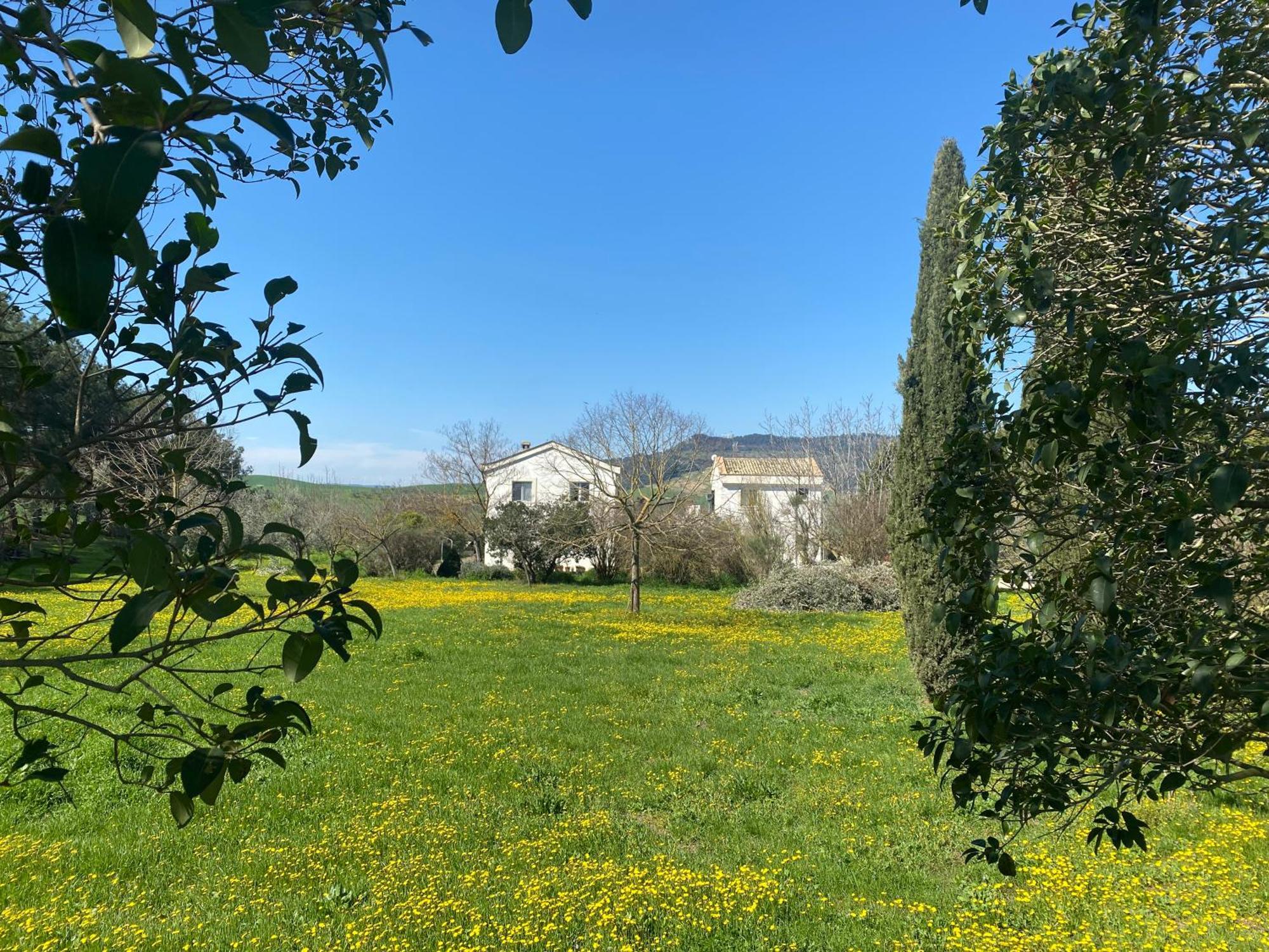 Agriturismo Colle Igino Ματέρα Εξωτερικό φωτογραφία