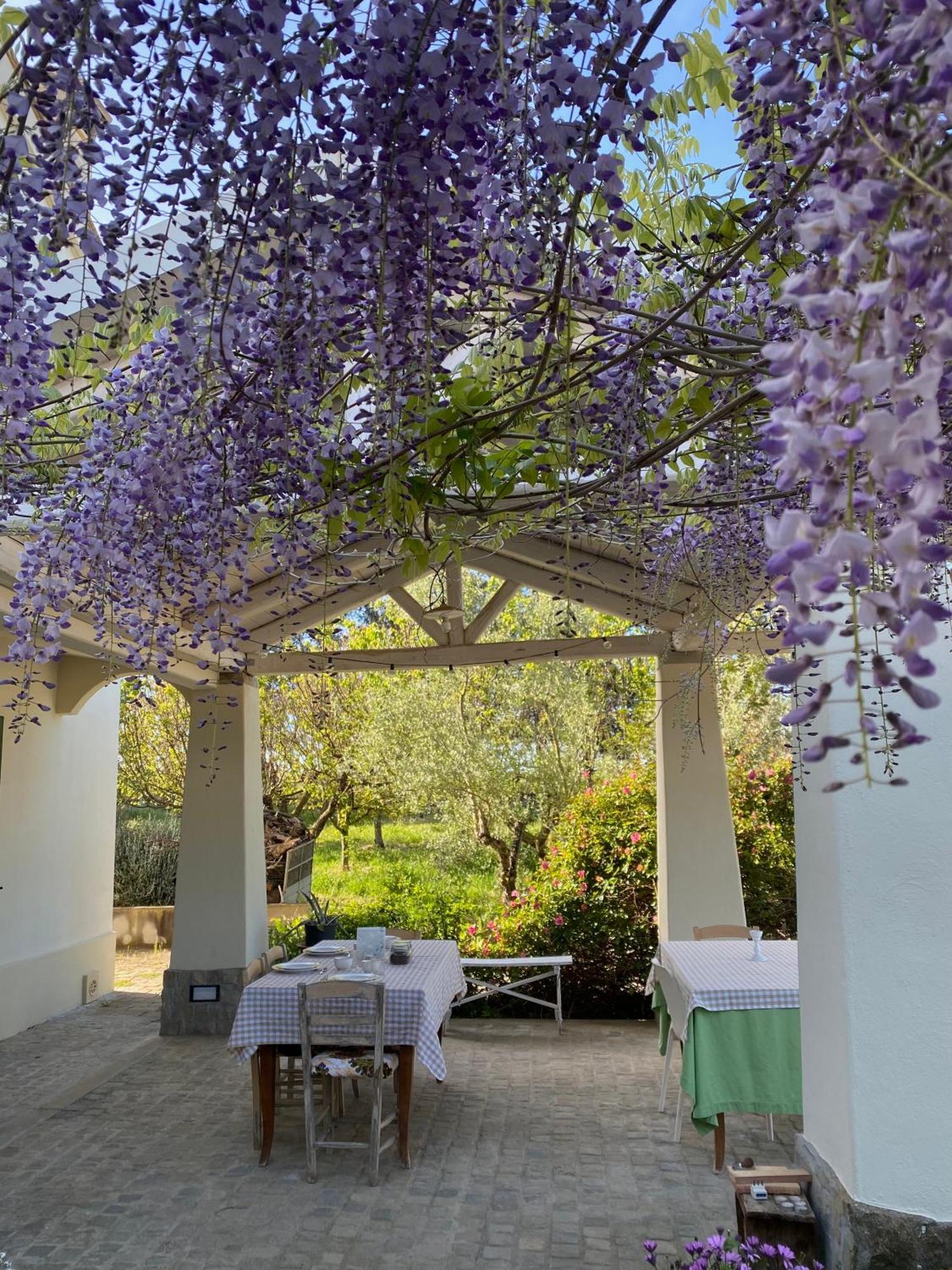 Agriturismo Colle Igino Ματέρα Εξωτερικό φωτογραφία