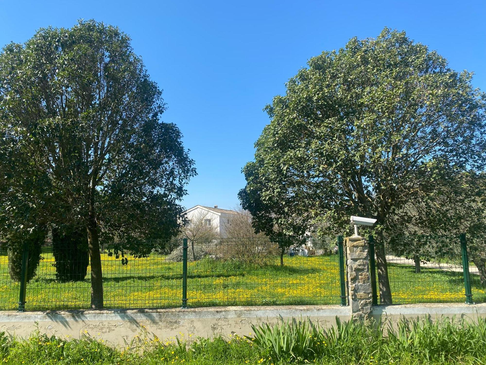 Agriturismo Colle Igino Ματέρα Εξωτερικό φωτογραφία